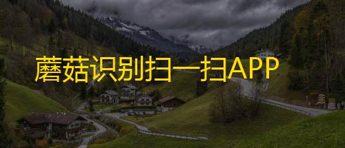 PUBGMOBILE蘑菇识别扫一扫APP